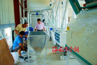 中建農(nóng)場投資興建南呂香大米加工廠的投資管理策略與實(shí)踐